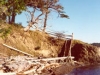 covesteps1.jpg