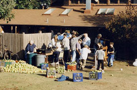 Harvesting the apple orchard