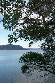 Southeast view from the shoreline